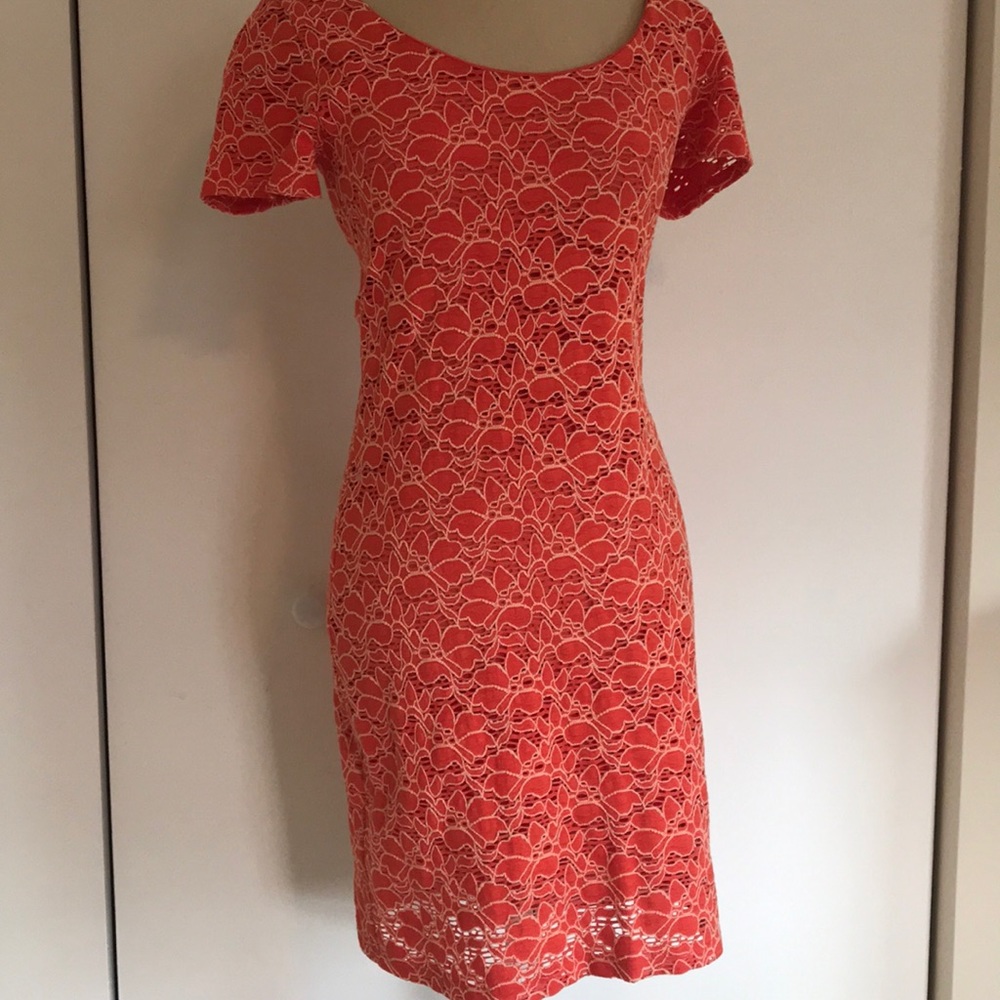 Velvet Orange floral lace dress